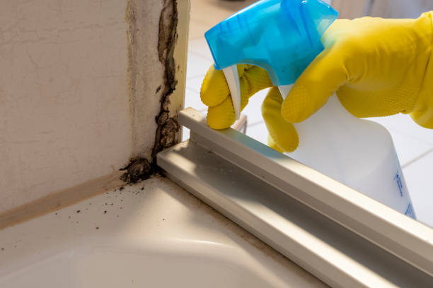 Best Toxic Mold Removal  in Aberdeen, MD