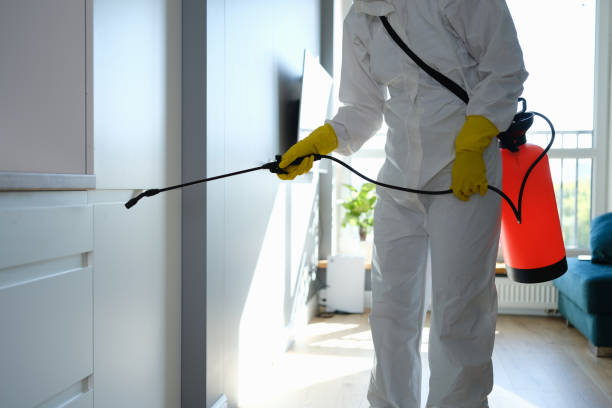 Best Certified Mold Removal  in Aberdeen, MD