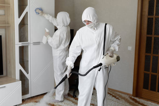 Best Attic Mold Removal  in Aberdeen, MD