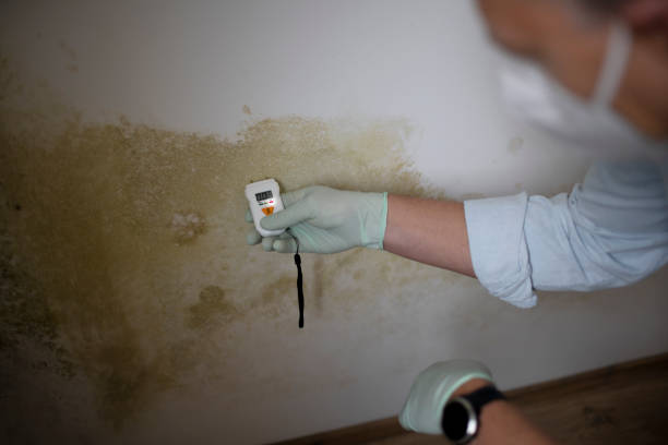 Best Emergency Mold Removal  in Aberdeen, MD