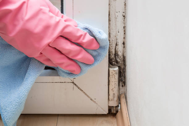 Crawl Space Mold Removal in Aberdeen, MD